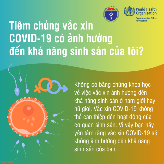 Tiêm chủng vắc xin #COVID19 có ảnh hưởng đến khả năng sinh sản của tôi?